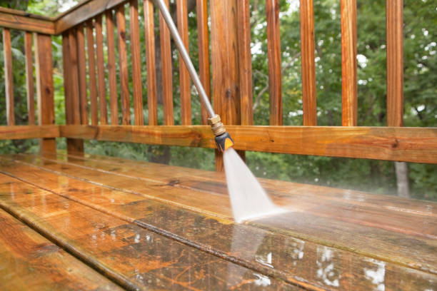 Best Solar Panel Cleaning  in Calhoun City, MS